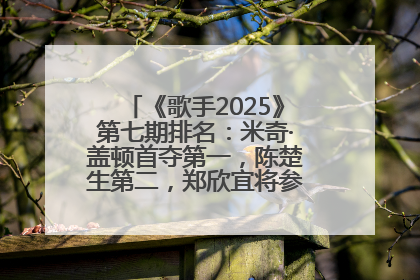 《歌手2025》第七期排名：米奇·盖顿首夺第一，陈楚生第二，郑欣宜将参加下一轮张榜赛